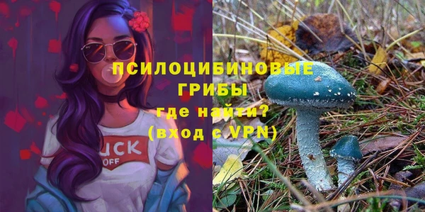 ECSTASY Михайлов
