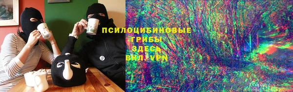 ECSTASY Михайлов