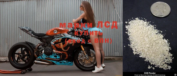 mdpv Михайловск