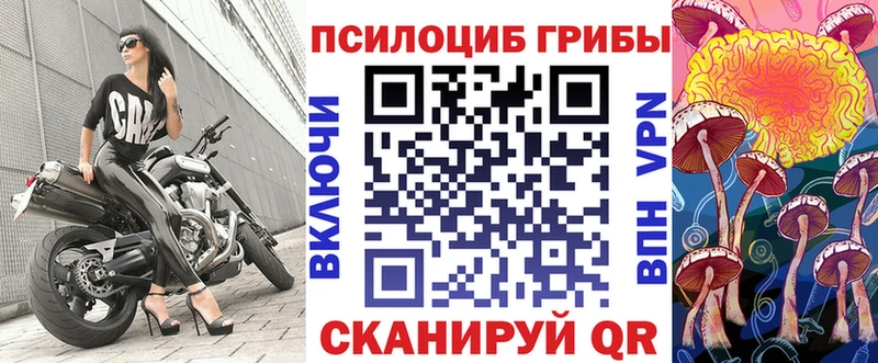 Псилоцибиновые грибы Cubensis  где купить наркоту  Копейск 