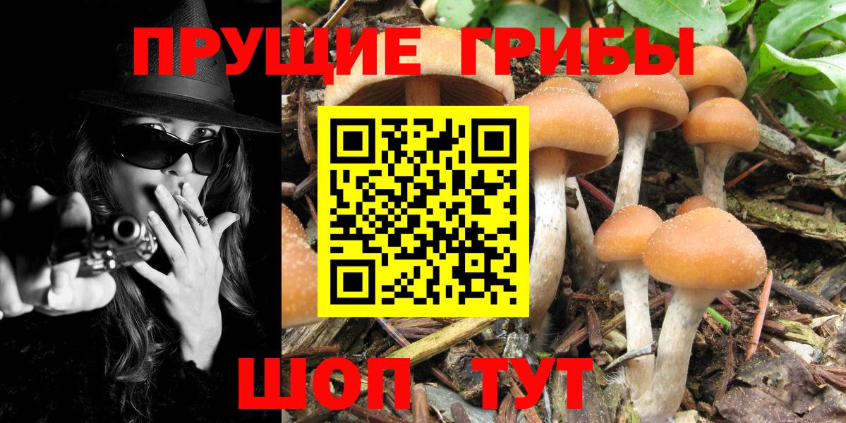 Галлюциногенные грибы мицелий Копейск